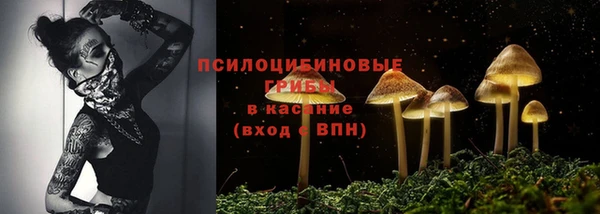 МДПВ Арсеньев