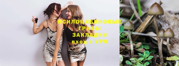МДПВ Арсеньев