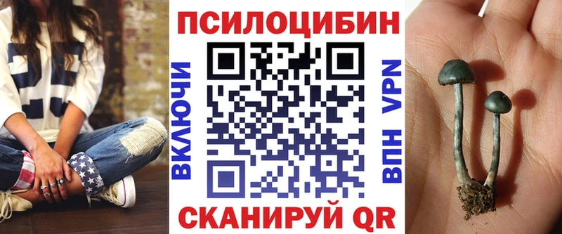 сайты даркнета официальный сайт Барабинск Псилоцибиновые грибы MAGIC MUSHROOMS